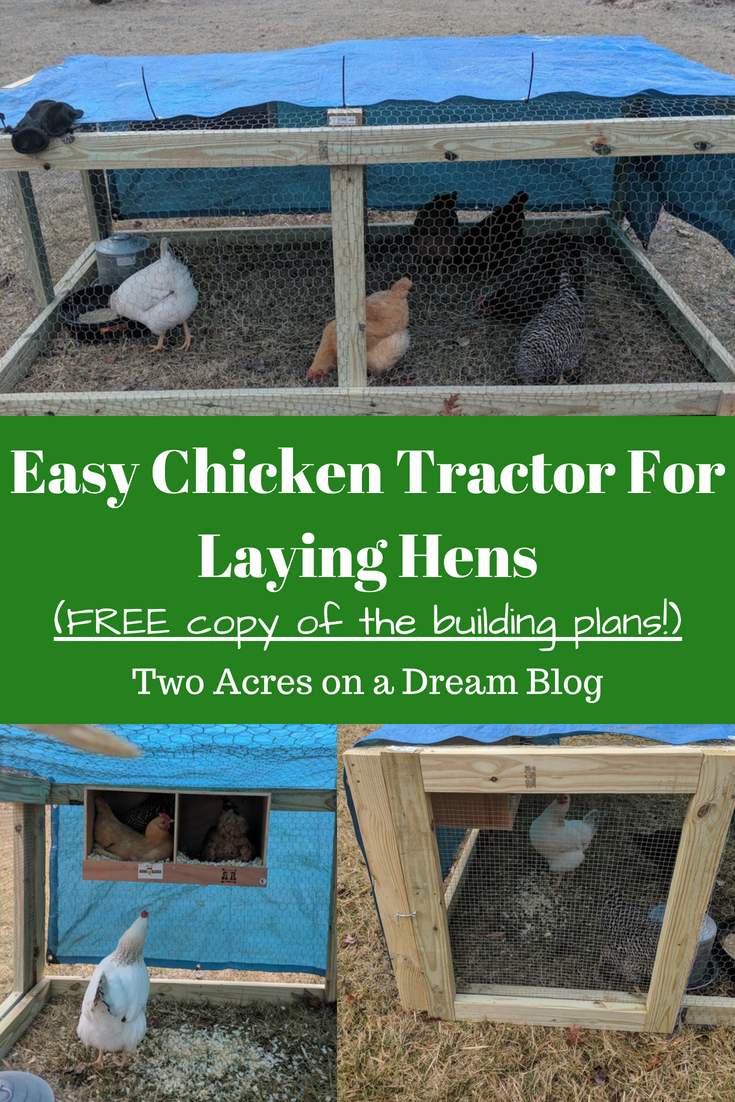 chicken tractor for laying hens
