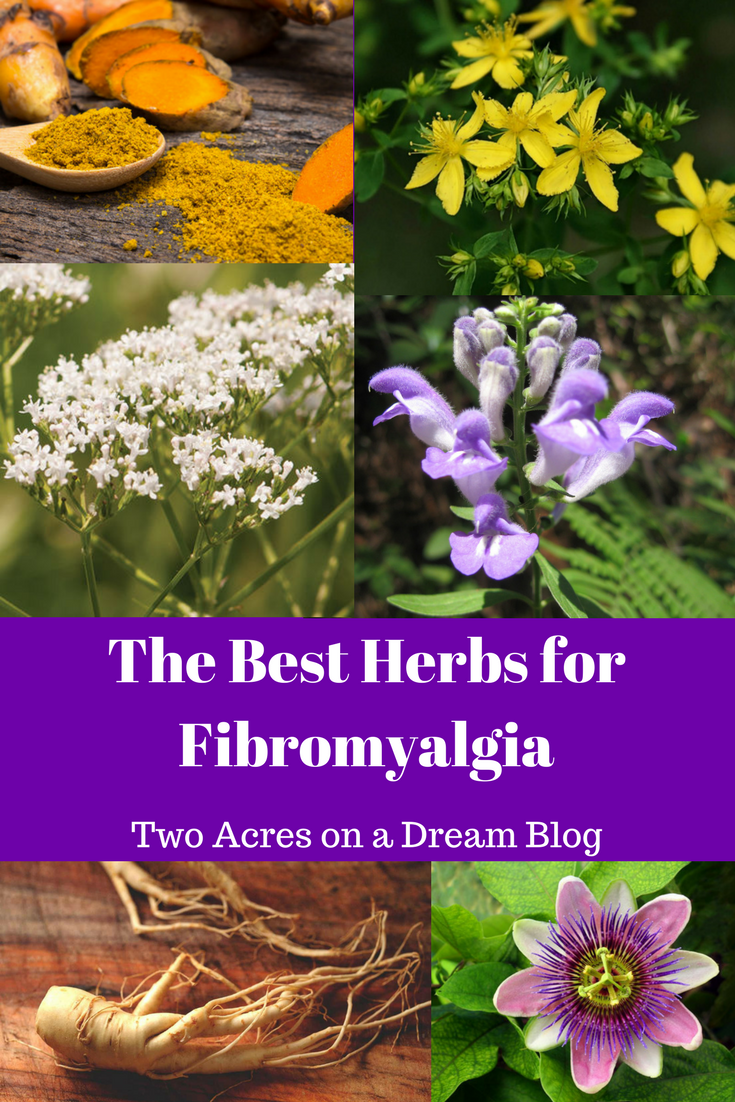 Herbs for Fibromyalgia
