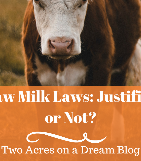 raw milk laws cow
